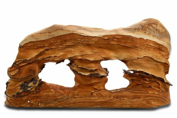 Wide Picture Sandstone Arch - Arizona #331140